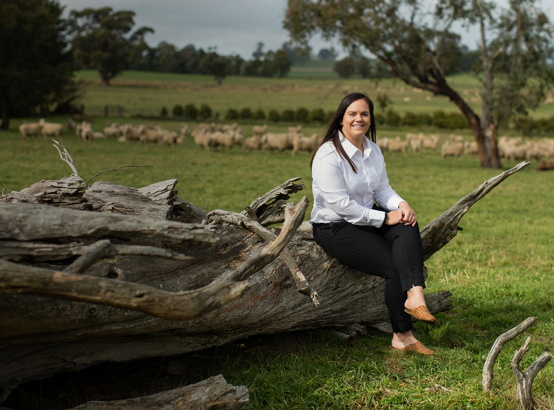 YOUR PROPERTY SPECIALISTS